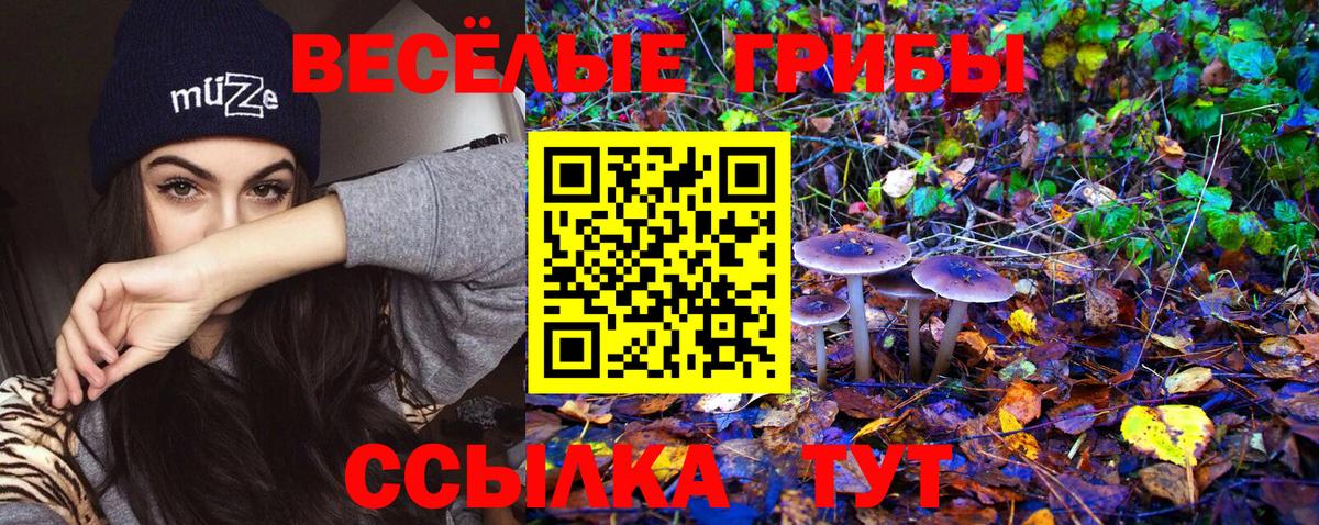 Псилоцибиновые грибы Magic Shrooms Беслан